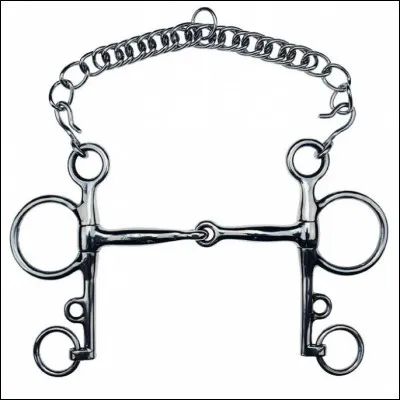 Comment s'appelle ce mors ?