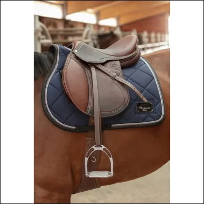 Donne lordre correct en partant du dos du cheval :