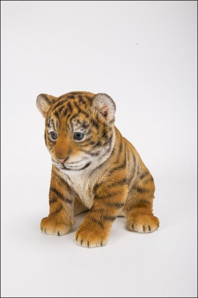 Comment s'appelle le petit du tigre ?