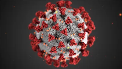 Quel est l'autre nom du "coronavirus" ?