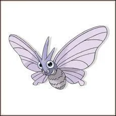 Quel est le nom de ce pokmon ?