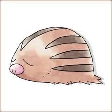 Quel est le nom de ce pokemon ?