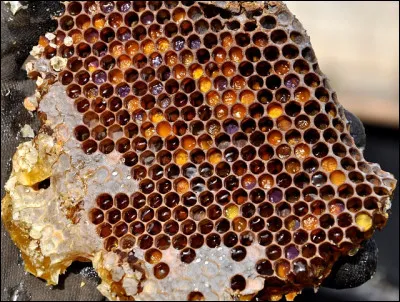 Comment gagner de l'argent facilement, ça il en ... un ... !