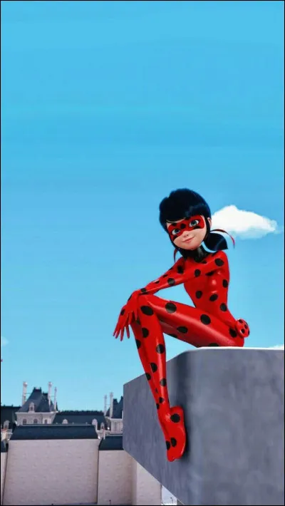 Qui est amoureux de Ladybug ?