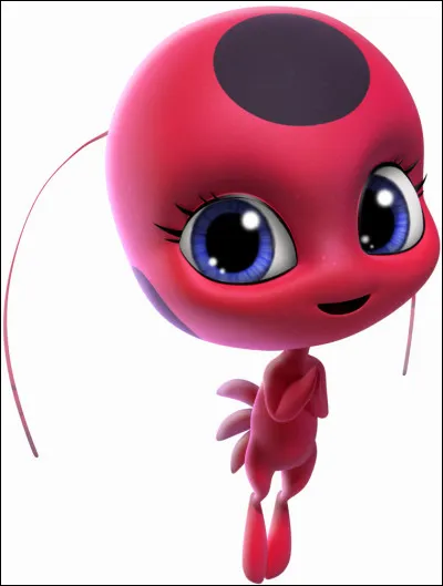 Qui est Tikki ?