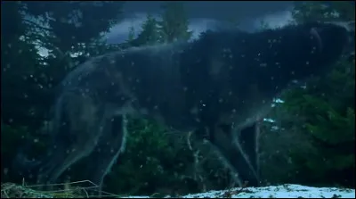 Complétez : 
"Falskan dóm þá úlfur..."