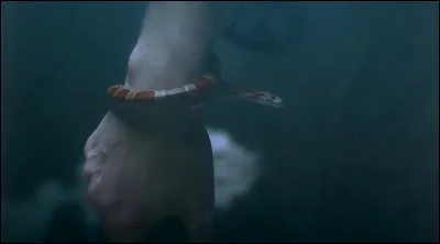 Complétez : 
"Bíðum nú í skjóli..."