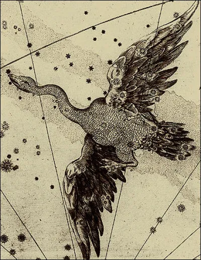 Qui est le chevalier du Cygne ?