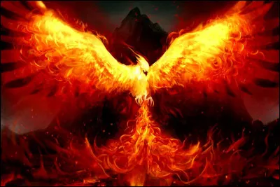 Qui est le chevalier du Phénix ?