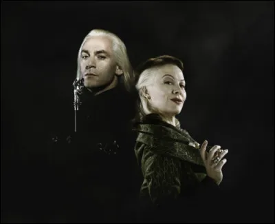 En quelle année Narcissa et Lucius se marient-ils ?