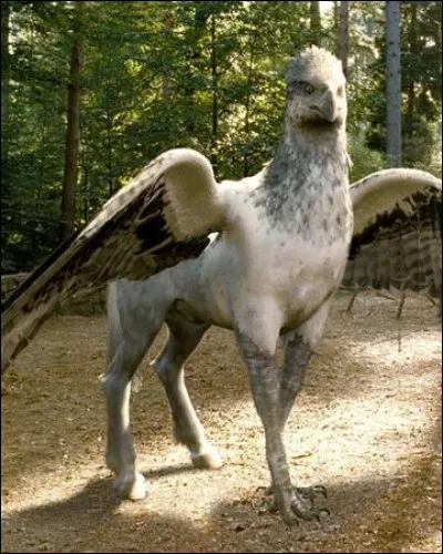 Comment s'appelle l'hippogriffe d'Hagrid ?