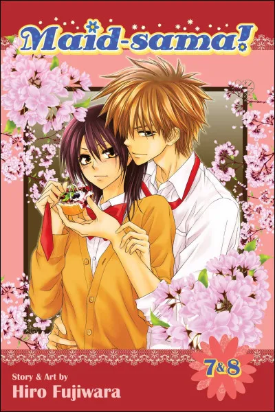 Dans "Kaichō wa Maid-sama !", trois garçons découvrent le secret de Misaki, lui-même découvert auparavant par Takumi Usui...
Comment sont-ils appelés par les deux protagonistes ?