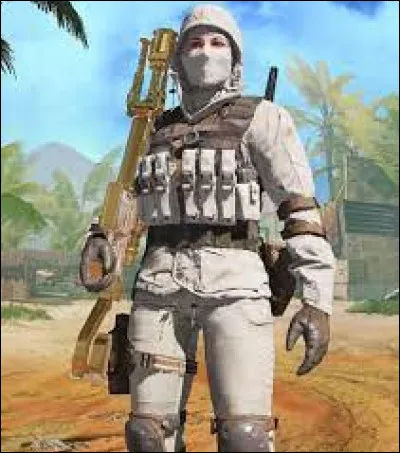 Comment s'appelle ce skin ?