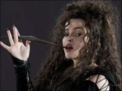 Bellatrix Lestrange est la sœur de...