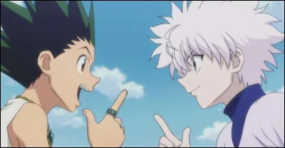 Dans quel animé Gon est-il ?