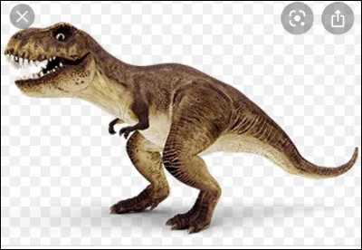 Comment sappelle le Tyrannosaurus rex ?