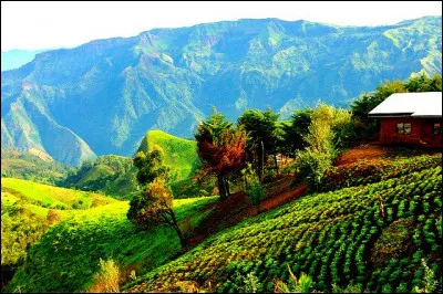 Pour finir, quelle est la capitale du Cameroun ?