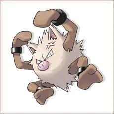 Quel est le nom de ce pokemon ?