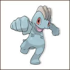 Quel est le nom de ce pokemon ?