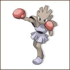 Quel est le nom de ce pokemon ?