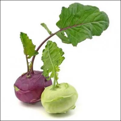 Blanc ou violet, que suis-je ?