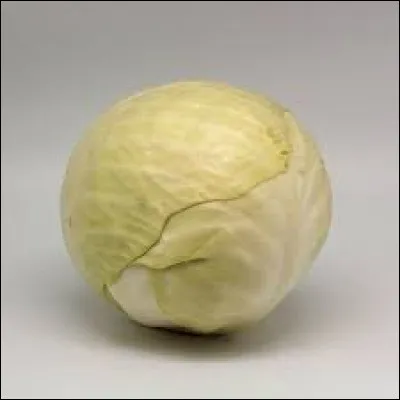 À propos, que signifie l'expression "faire chou blanc" ?