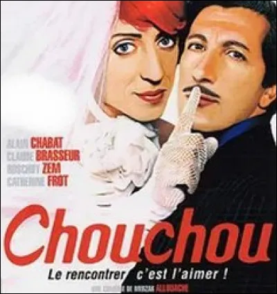 Le film "Chouchou" est un film français réalisé par Merzak Allouache, sorti en 2003. Il a réalisé 4 millions d'entrées en salle. Mais qui est l'acteur principal ?