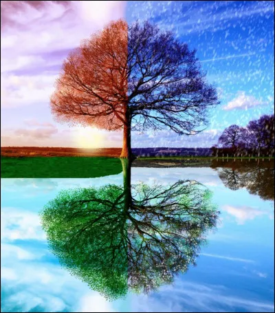 Quel est ta saison pr&eacute;f&eacute;r&eacute;e ?