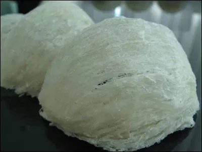 En Asie, le nid d'hirondelle est un mets de luxe, très recherché, pourtant il est composé en grande partie de boue et de vase !