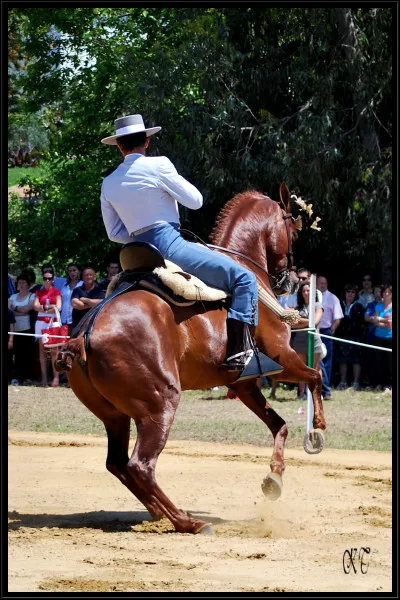 De quoi s'inspire la discipline de la Doma Vaquera ?