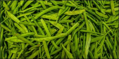 Légumineuses dont on extrait un épaississant alimentaire sans gluten :