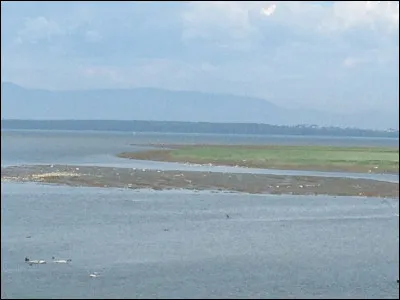 D'où vient le livre ?