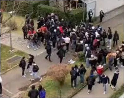 Pendant la récré, une grosse bagarre éclate, il s'agit de ton crush contre ton pire ennemi. Que fais-tu ?