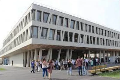 À la fin du cours, on vous apprend que ta prof de physique-chimie est absente. Vous finissez les cours 1h plus tôt, tout content vous sortez. Que faites-vous ?