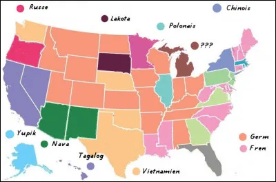 Le Michigan (en brun) est le seul état où cette langue arrive 3e : de laquelle s'agit-il ?