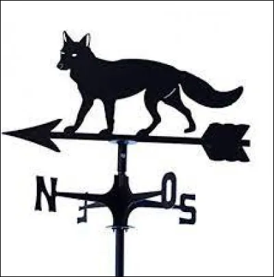 Animal (goupil) rusé, sans déplaire à Jules !