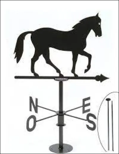 Il ressemble fortement à Jolly Jumper, ne trouvez-vous pas ?