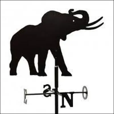 D'Asie ou d'Afrique ! Facile d'y voir !