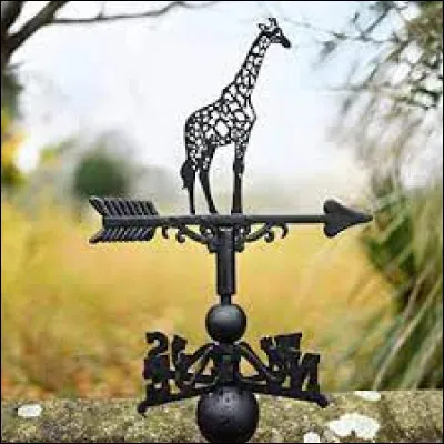 Offerte au roi Charles X, roi de France, par le vice-roi d'Égypte, Méhémet Ali. Zarafa était une/un :