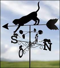 Quiz Animaux