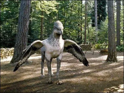 Quel est cet animal ?