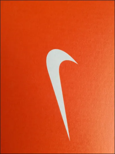 Les chaussures de tes rêves, ce sont :