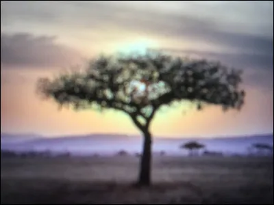 La tenue traditionnelle africaine est : 
Choisis une photo.