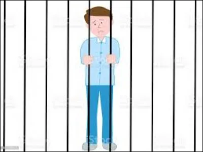 Quelle proposition n'est pas un défi réalisé par les Français au premier confinement ?