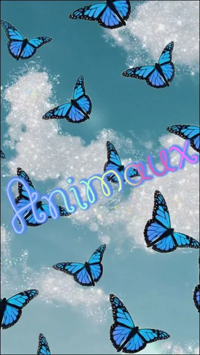 Tu préfères avoir...