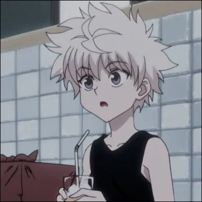 Quel est le nom de famille de Killua ?
