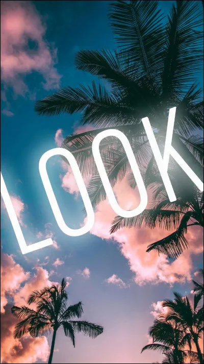 Quel look préfères-tu ?