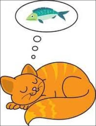 Quel est votre plus grand rêve ?