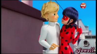 Quel est le nom du ship Ladybug et Adrien ?