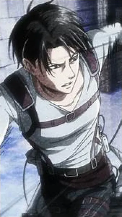 Quelle taille fait Levi ?